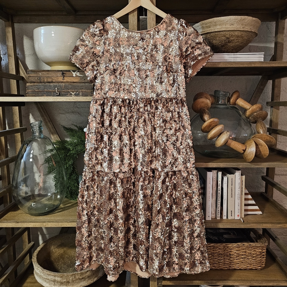 Anthropologie Maeve Bernadette Sequined Midi Dress NWOT XSP
